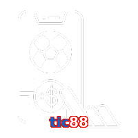 tic88