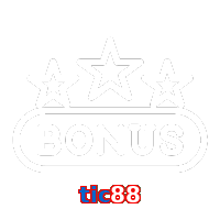tic88