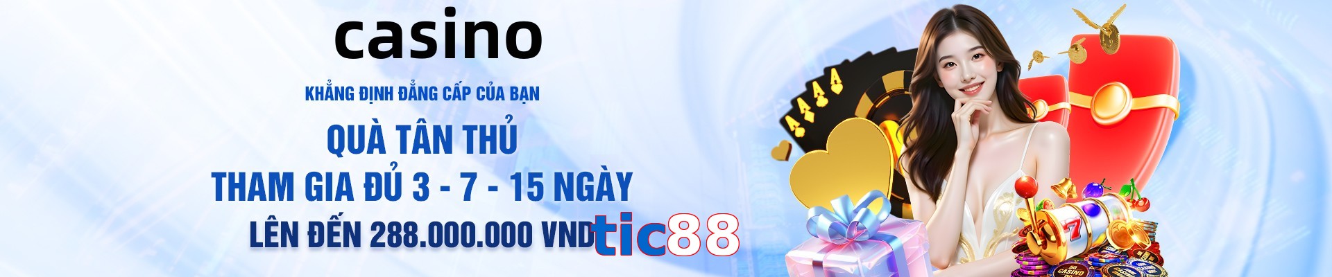tic88