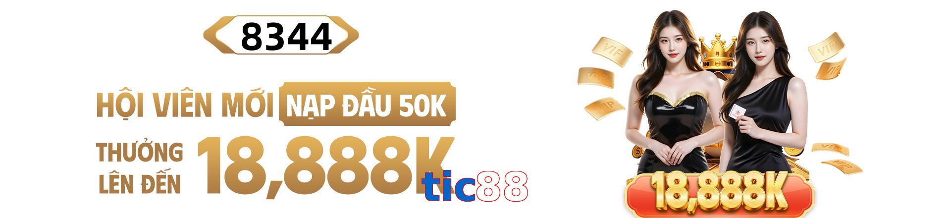 tic88